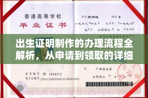连山出生证明制作的办理流程全解析，从申请到领取的详细指南